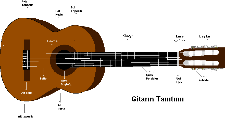 20 TIPS BERMAIN GITAR AKUSTIK UNTUK PEMULA ~ Tips Bermusik