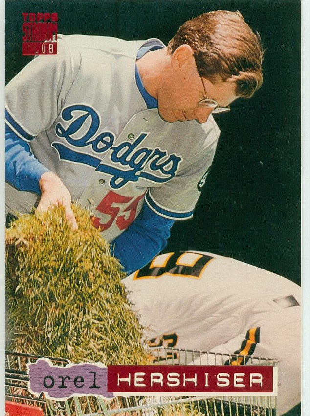 Cincinnati Reds Baseball Card Collector Album of Amazing