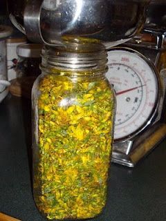 Saved St. John’s wort