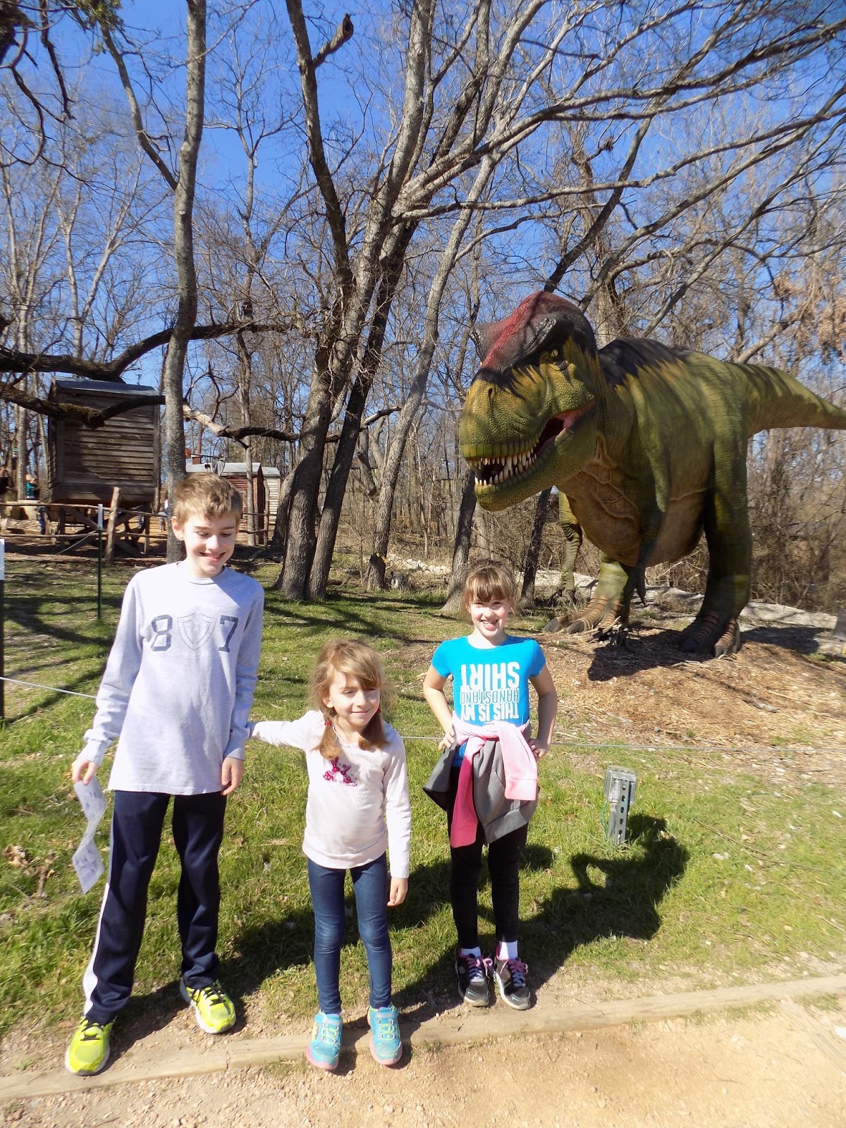 heard museum dinosaurs