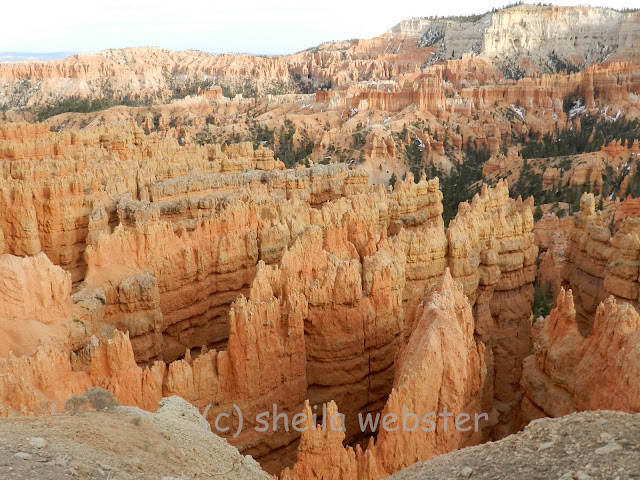 The sunset deepens the color on the hoodoos