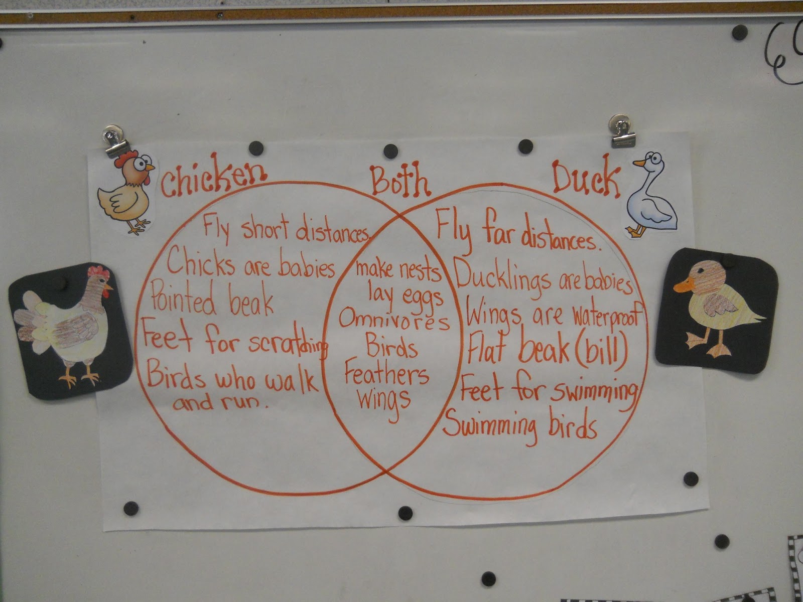 Blog Hoppin': Incubation Station