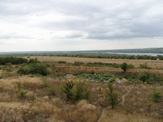 DSC01282.JPG
