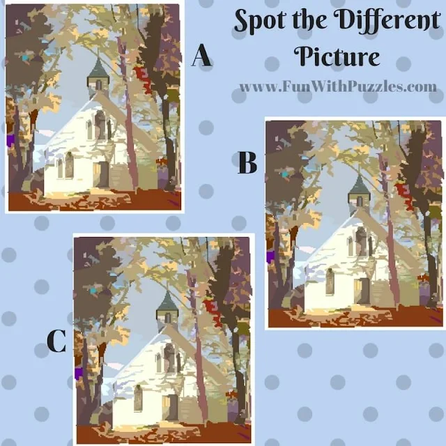 Spot The Different Picture Puzzles-House