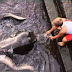 Πιτσιρικάς παίζει με γιγαντιαίο σαλάχι στην άκρη μίας μαρίνας [Βίντεο] !!!