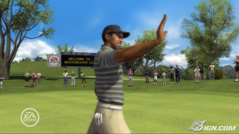 tiger woods pga tour 08 pc cameras tiger woods pga tour 08 pc cameras