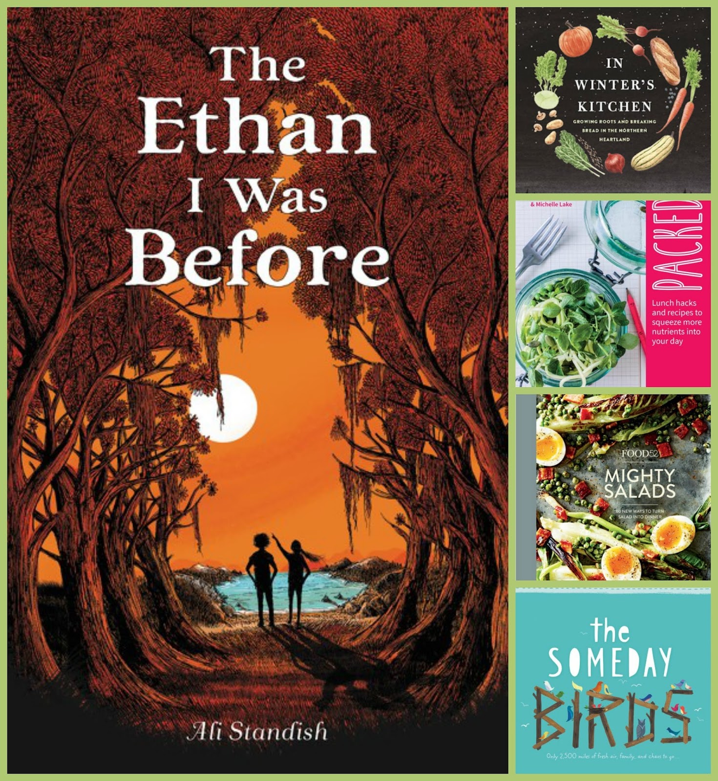 Beth Fish Reads StackedUp Book Thoughts Reading in January