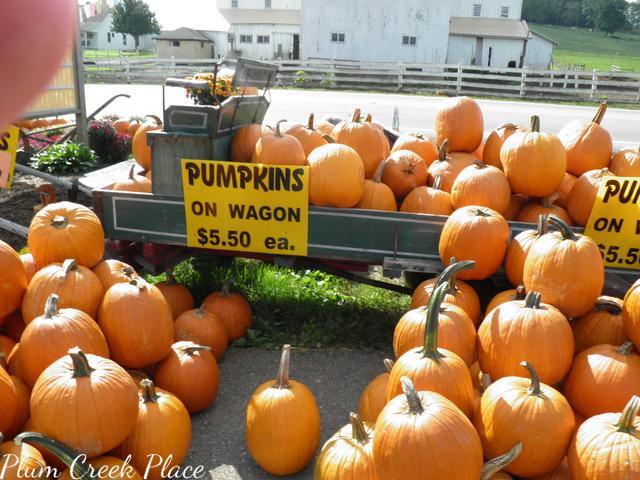 pumpkins, pumpkin wagon