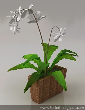 orchid flower 3D model