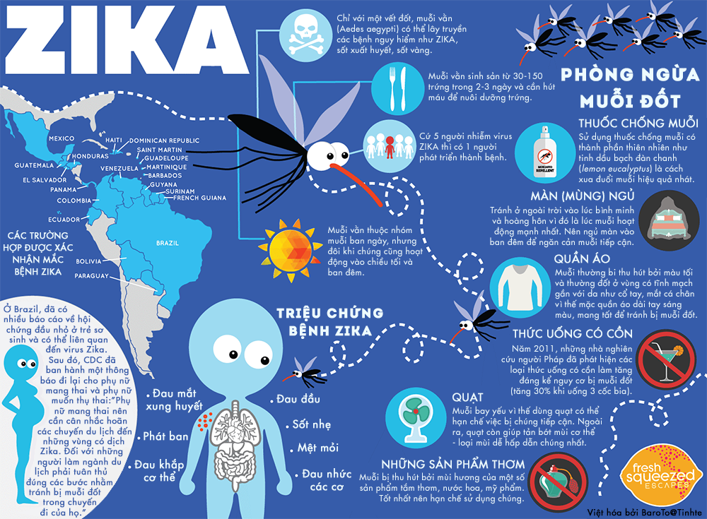 [Infographic] Virus Zika - Triệu chứng và cách phòng ngừa