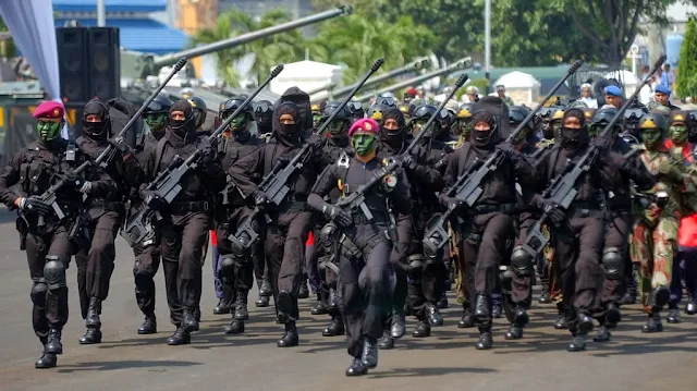 Hasil gambar untuk senjata ke Pindad