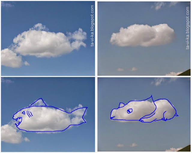 облака похожие на животных