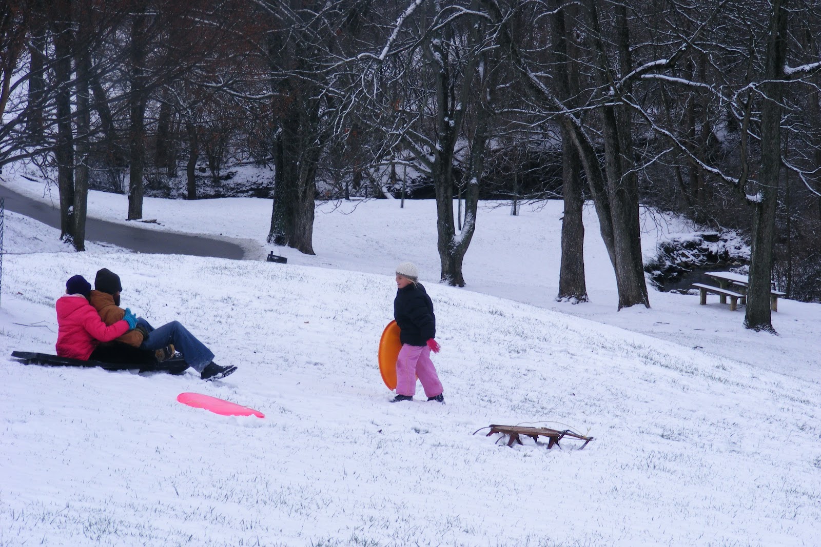 Scrumptious... Sledding in French Park