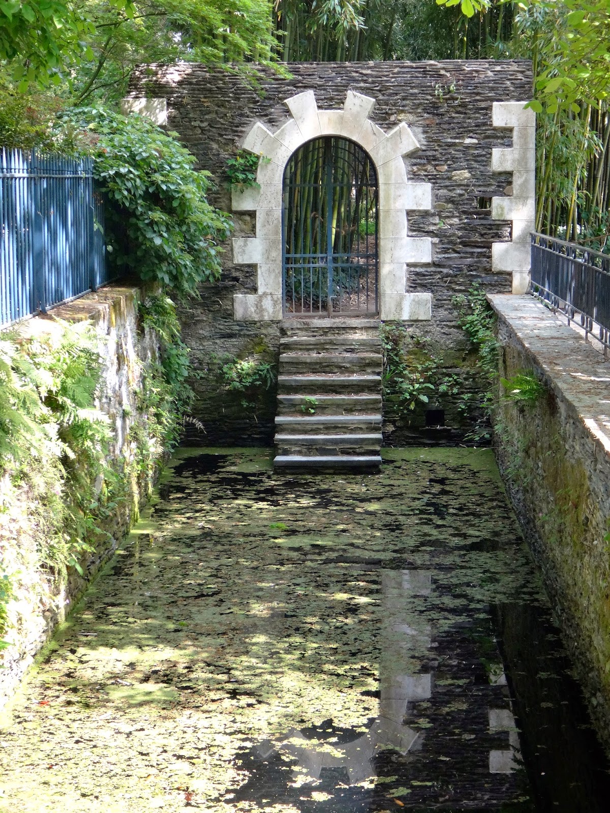 Ici, Ailleurs... Angers L'arboretum Gaston Allard