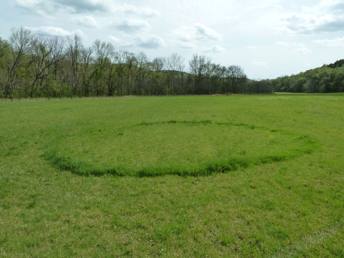 Springfield Plateau Crop Circles