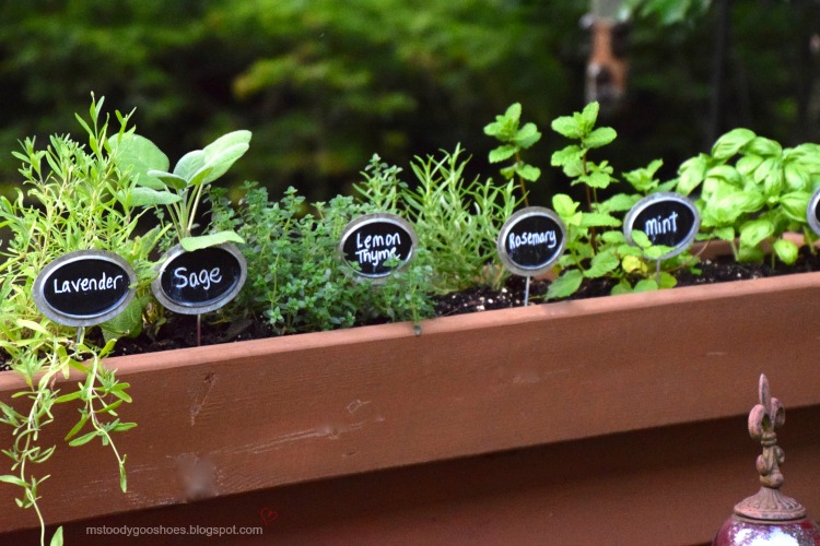 10 CONTAINER GARDEN IDEAS | Ms. Toody Goo Shoes