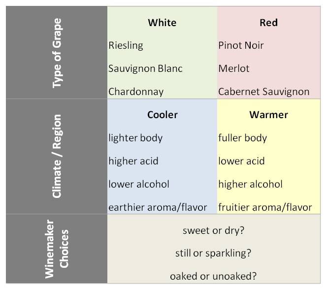 Clear Lake Wine Tasting What Makes One Wine Different from Another?