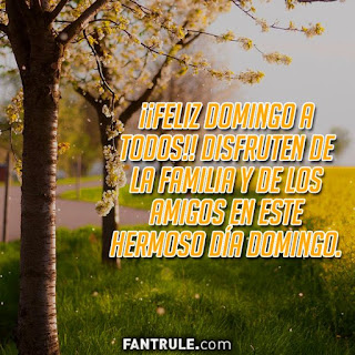 imagenes feliz domingo frases gif