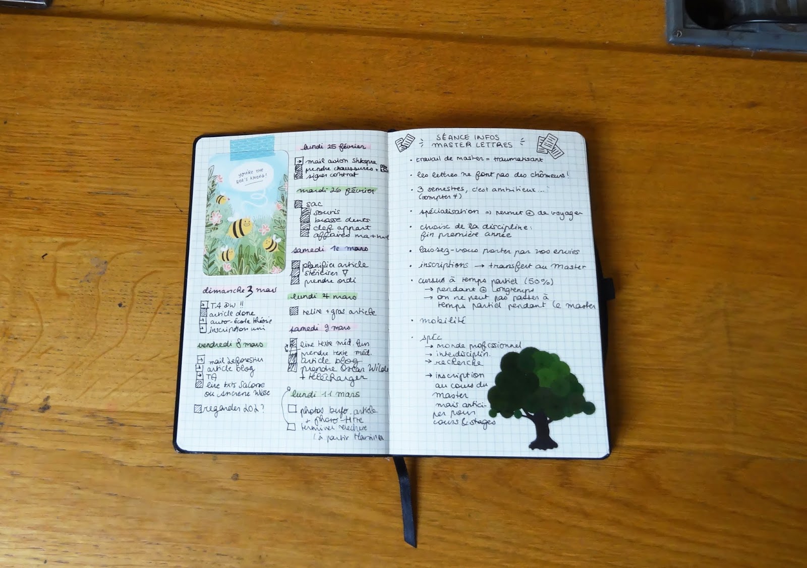 mon bullet journal