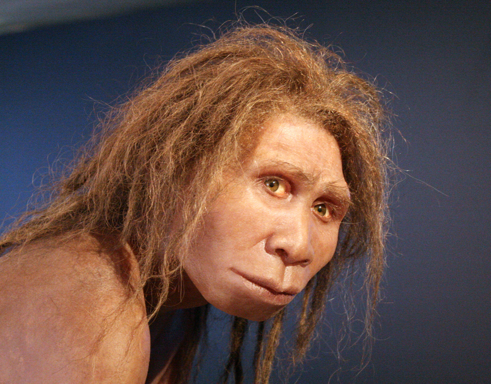 The Evolving Placenta Defining The Genus Homo the-evolving-placenta-defining-the-genus-homo