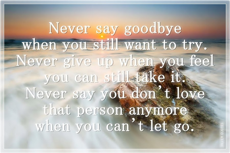 Never Say Goodbye When You Still Want to Try