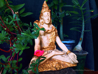 Left View Lord Shiva Mini Statue On The Stone With Tiny Decorative Flower Plants In The Room