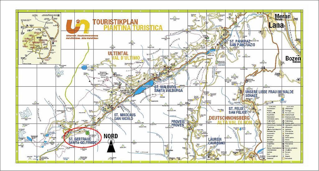 Alberi e dintorni Storie di Alberi