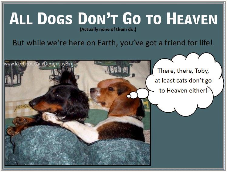 Designs by Birgit: Dogs Do Not Go to the Pope Really Said