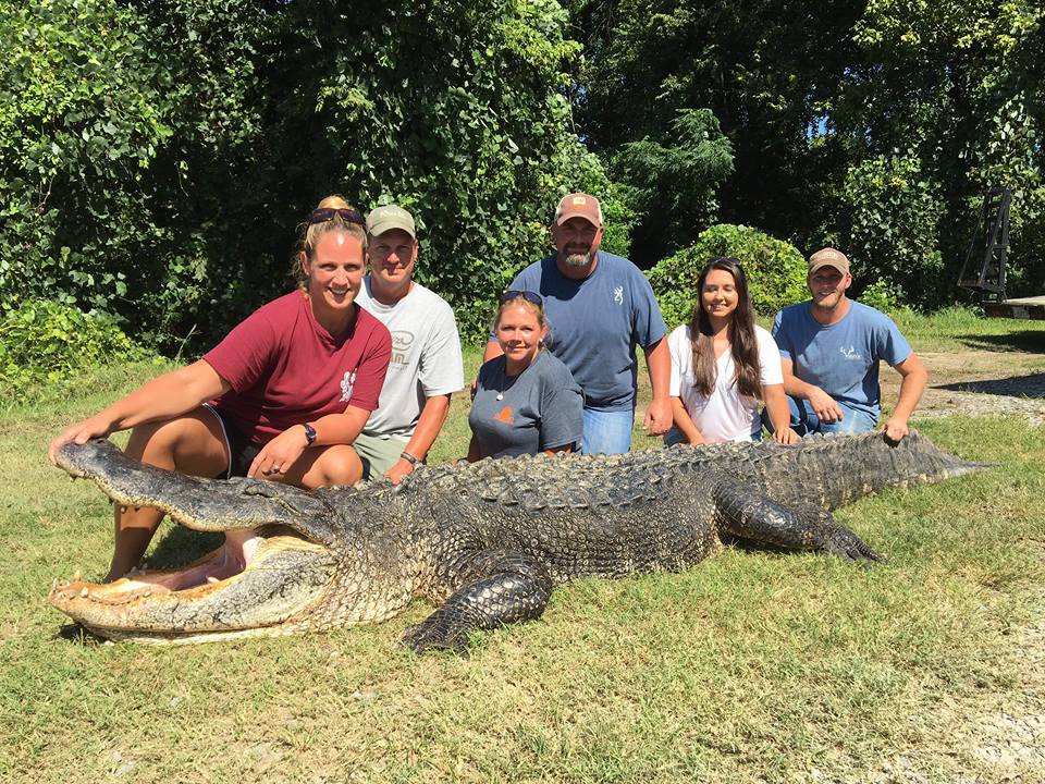 Marian's Hunting Stories, etc., etc., etc... New Male Alligator MS Record!