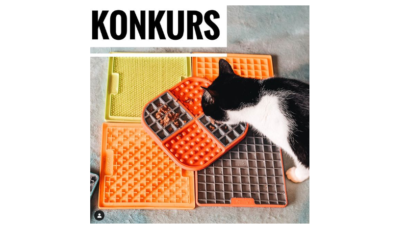 Wygraj matę LickiMat Konkurs