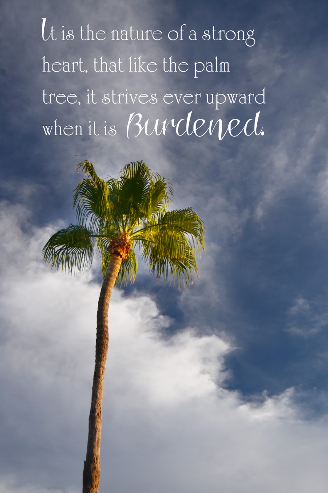 Tree Quotes. QuotesGram