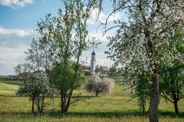 Wandertrilogie Allgäu Etappe 11  Bad Wurzach – Eintürnen  Wiesengänger Route 16