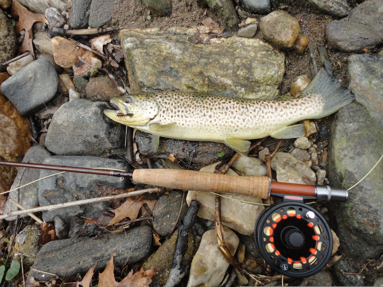 The Slippery Trout A Fly Fishing Blog Knowing a New River Fly