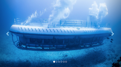 Atlantis Submarine Adventures 