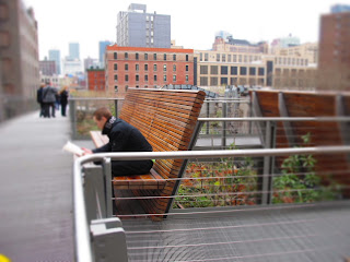 New York _High Line