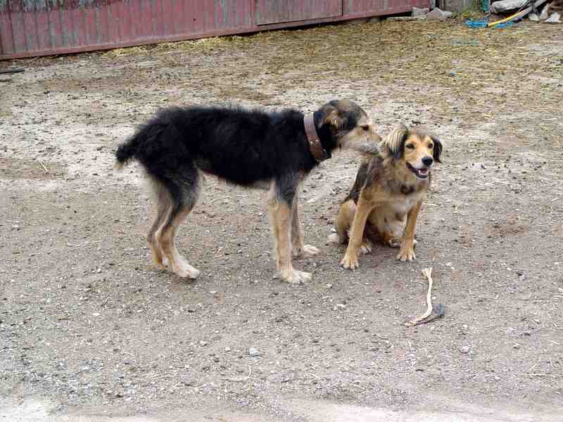 La Rioja de la A a la Z LOS HABITANTES DE SANTA CECILIA Santa