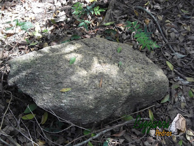 Chapa de pedra moledo para pisadeira de pedra no jardim, tipo pedra natural.