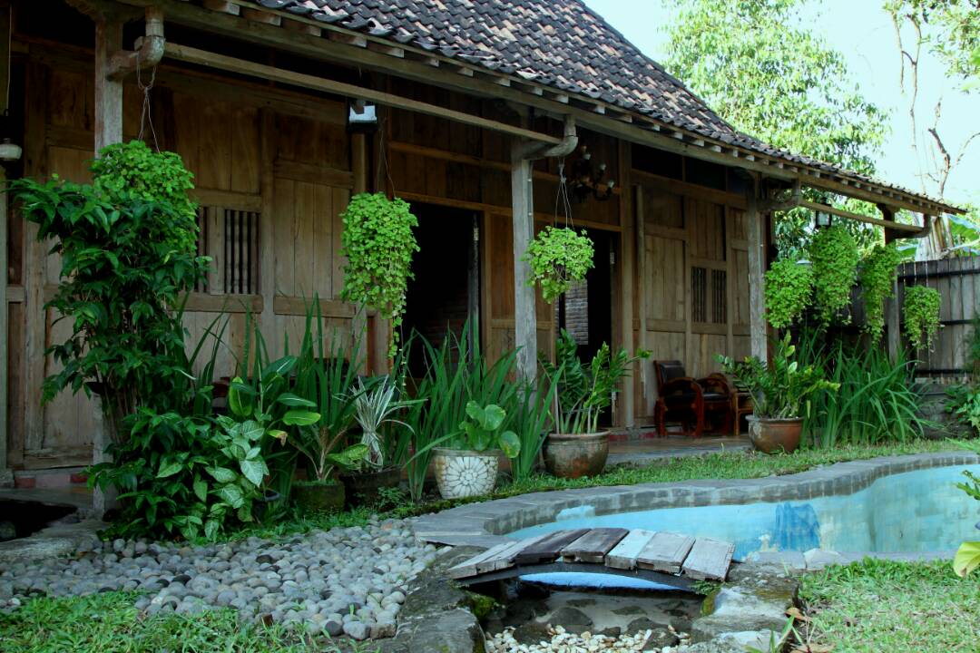 Rumah Sewa Harian di Jogja Ada Kolam Renang Dekat Wisata ...