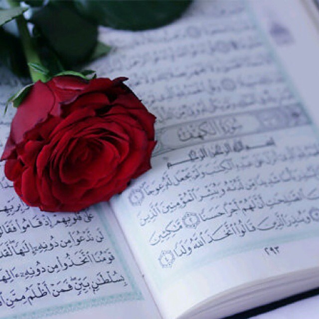 صور للقران