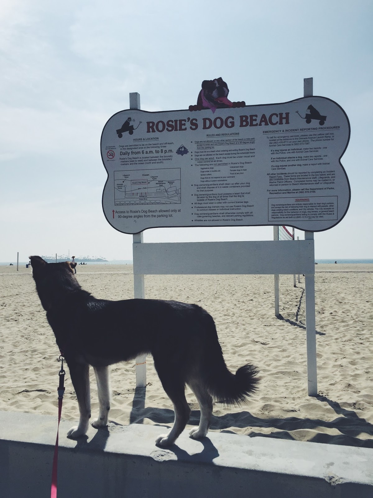 Day Trip Rosie's Dog Beach Path & Paw