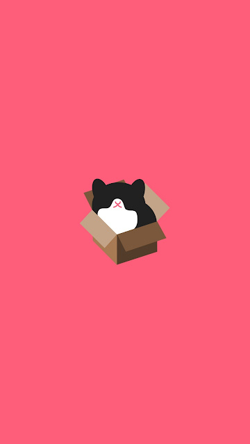 No.1 Frist Cat_box_design_minimalism_69262_720x1280