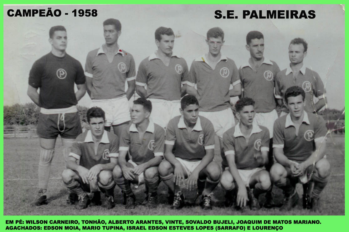 A SOCIEDADE ESPORTIVA PALMEIRAS