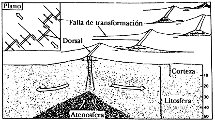Teoría de la tectónica de placas | Geología y Biología