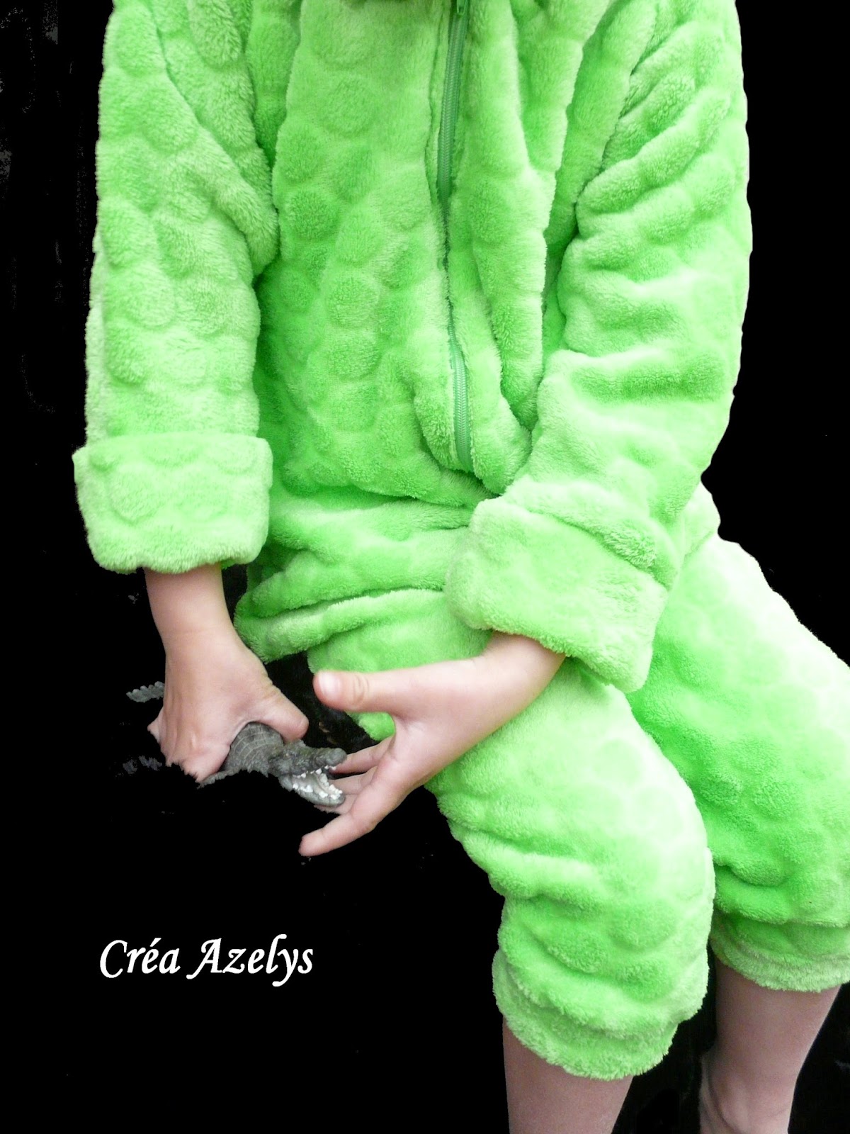 Pourquoi Je Ne Trouve Pas Pourris Gâtés Sur Netflix Le petit monde d'Azelys: Un Cro deux Cros c'est un crocodile