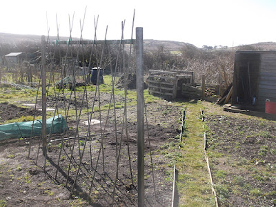 Allotment With A Sea View - St Ives Cornwall