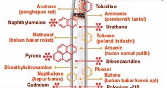 Ghelegar Net Laporan Karya Tulis Ilmiah Bahaya Merokok Ghelegar Net Laporan Karya Tulis Ilmiah Bahaya Merokok