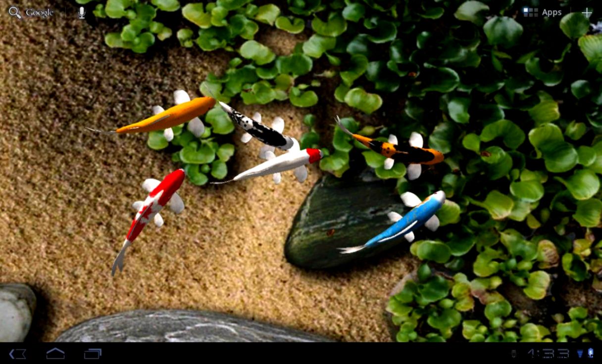 Koi Free Live Wallpaper   Android Apps on Google Play