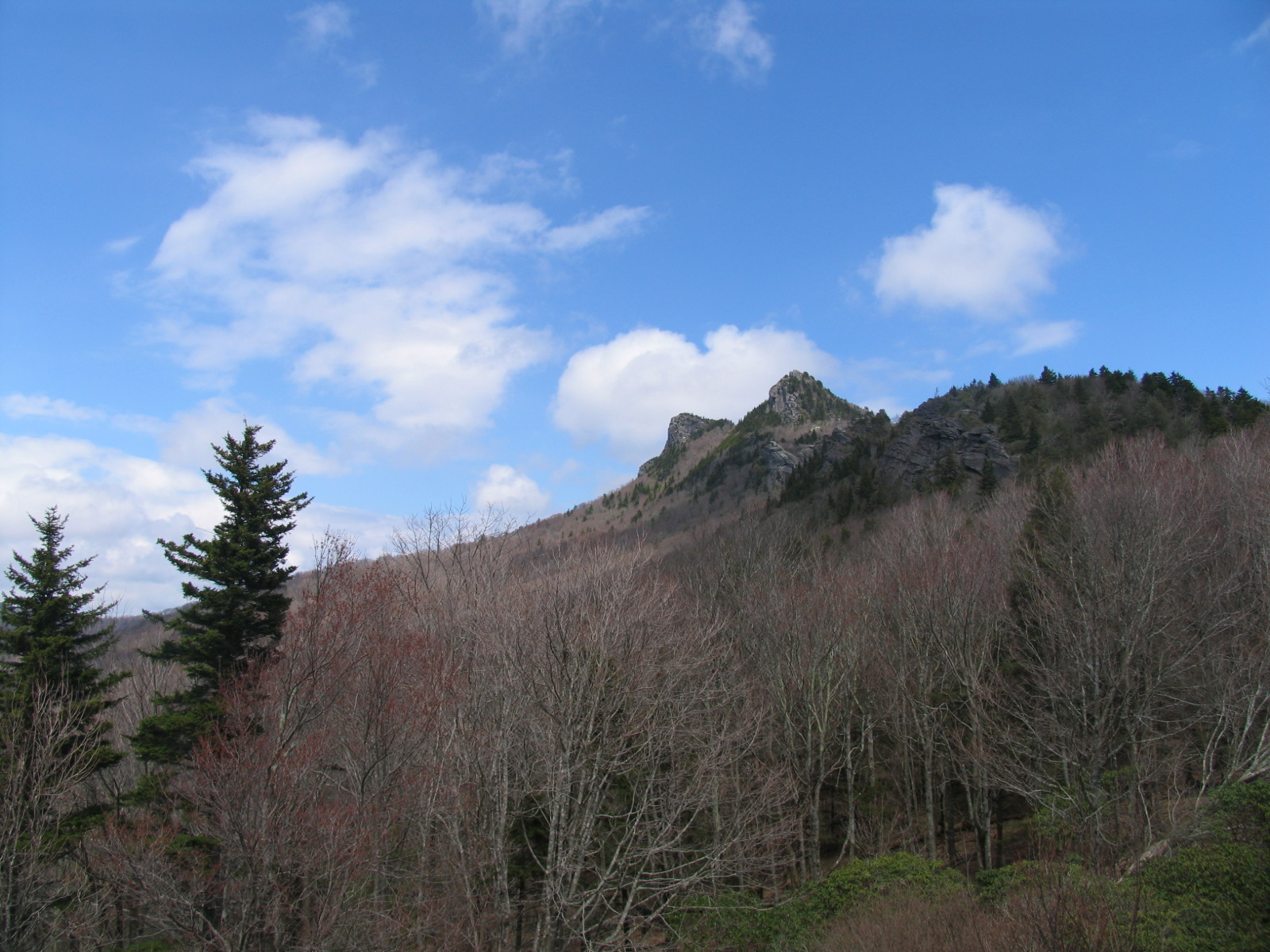 Grandfather Mountain