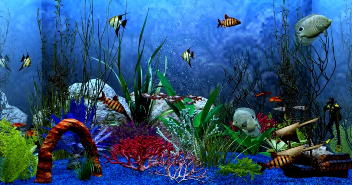 Download Live Aquarium Wallpaper For Windows 7 | Mister Wallpapers