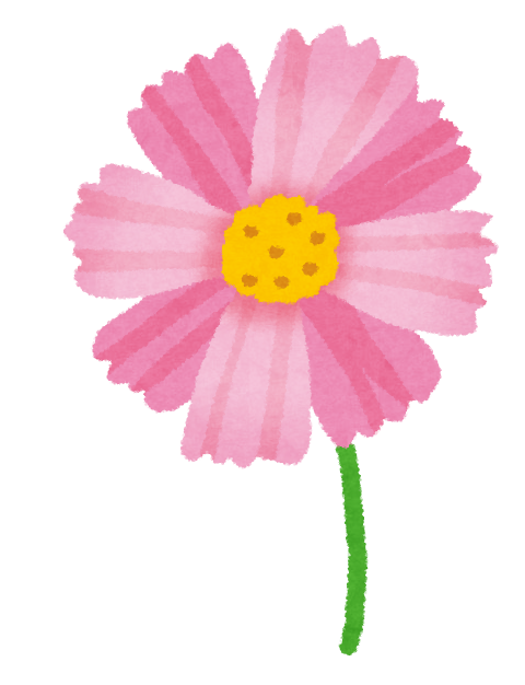 flower_cosmos.png (480×626)